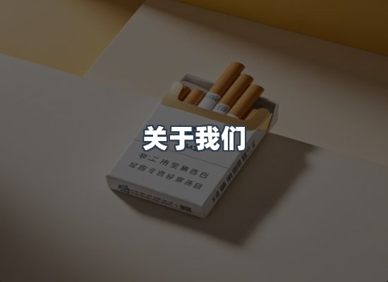关于我们
